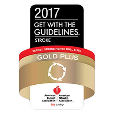 Get with the Guidelines - 2017 Gold Plus Stroke Honor Roll